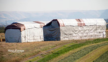 1HayMarkets_ph