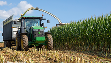 1SickSilage_ph