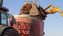 1Silage_ph
