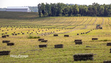 1SmallBale_ph