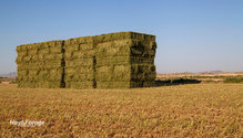 1USDA_ph