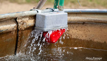 1Water_ph