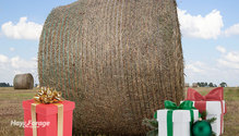 1Wrap_ph