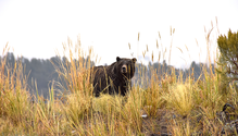 1_iStock-1226444721_ph
