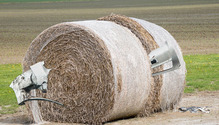 1bales_28_ph