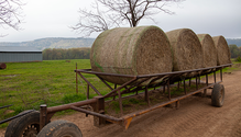 2-BaleWeight_ph