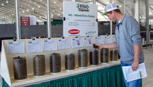 2-ForageSuperbowl_ph
