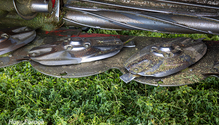 2-HailDamage_ph
