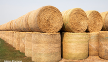 2-RoundBales_ph
