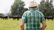 20-Pasture-Walk-IMG_0428-web