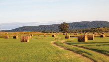 2001_33-bales-field