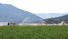 2002_HFG-16-irrigation