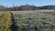2003-HFG-20-field