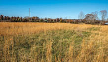 20045_18-hay-field