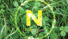 20045_HFG_5-N2-alfalfa