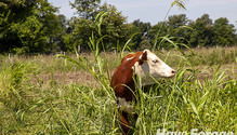 201110_ph1