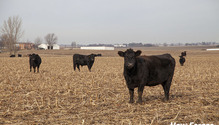 20116_ph1