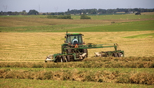 2011_HFG_16-raking