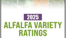 2025-Alfalfa-varieties