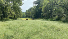 21-HFG-apr-May-30-crabgrass