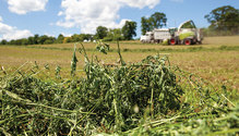 21-HFG-apr-May-32-alfalfa