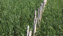 21-MCR_6445-web