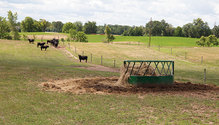21-apr-may-HFG-13-hay-bin