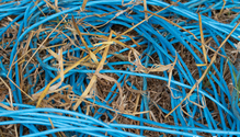 21-bales_032-web