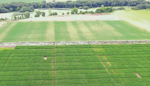 21-feb-HFG_28-irrigation-field
