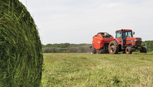 21-jan-24-baling