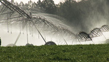 21-mar-HFG-13-irrigation