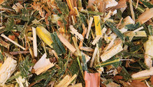 21-mar-HFG-14-silage