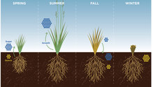 21_feb_HFG-22-diagram