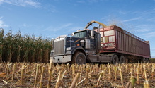 24-IMG_0795-web