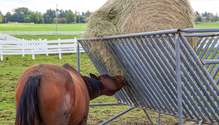 26-IMG_0364-web