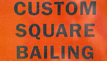 2Bailing_ph