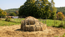 2BaleFeeders_ph