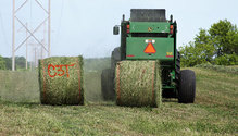 2BaleStudy_ph