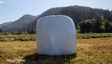 2BaledSilage_ph