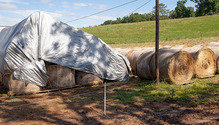 2Bales_ph