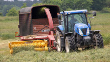 2CerealSilage_ph