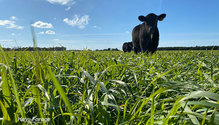 2Cropland_ph