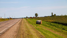 2DitchHay_ph