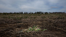 2Drought_ph