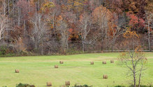 2Fall_ph