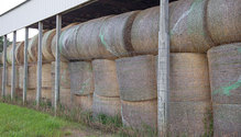 2HayBuy_ph