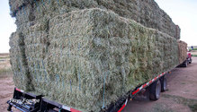 2HayBuy_ph