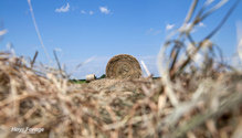 2HayProtein_ph