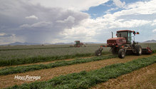 2HayRain_ph