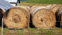 2HayStorage_ph